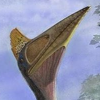Bakonydraco