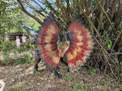 A fényképet készítette: Ildikó Bársonyné Kmetty