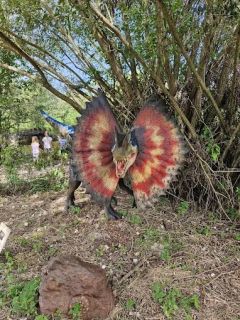 A fényképet készítette: Ildikó Bársonyné Kmetty