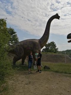 A fényképet készítette: Józsefné File