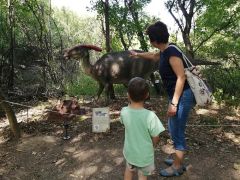 A fényképet készítette: Józsefné File